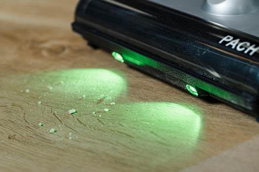 PACH ORB Stickvac Vacuum Cleaner With Self-Emptying Station (60-Day Capacity)