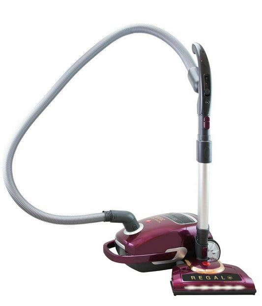 10 Vacuum Cleaner Bags suit  Hoover Regal 9001PH and  Wertheim Regal 9001PH